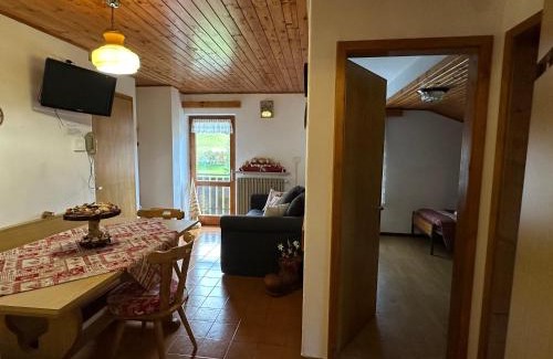 Pie Falcade Apartment | Mansarda nelle dolomiti