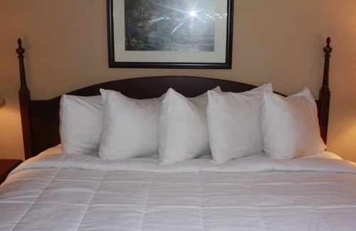 Springfield Hotel | Mansion View Inn and Suite