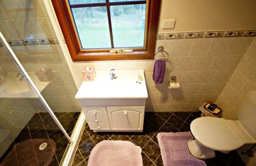 Lovedale Cabin | Manzanilla Ridge