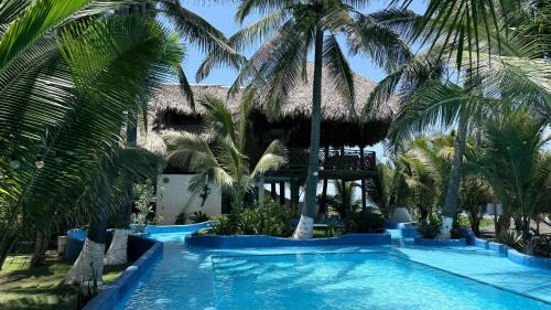 Monterrico Hotel | Marbella Eco Lodge