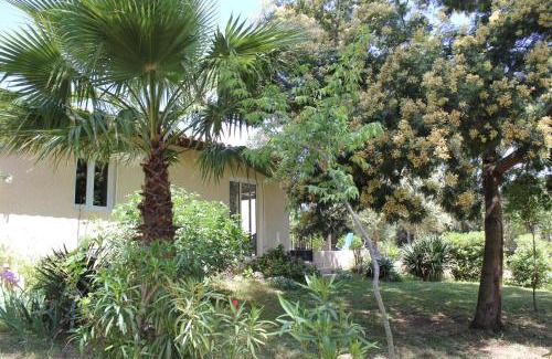 Cargese House | MARCHESE