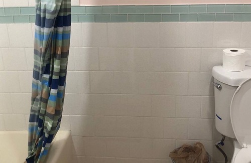 Binghamton House | Marigold Cozy retreat. 5mins walk to UHS and shops. 2 mins to Zoo and Ross park.