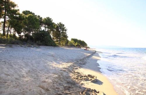 Ghisonaccia Apartment | Marina Corsa Res 4 rooms apartment 2 bathrooms 150 m from the sea Ghisonaccia
