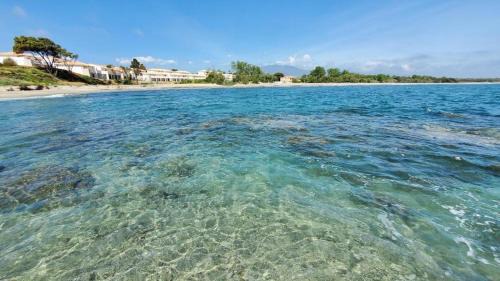 Bravone Apartment | MARINE DE BRAVONE T2 Terrasse Front de mer - Plage pieds dans l'eau - Clim - Piscine - WIFI