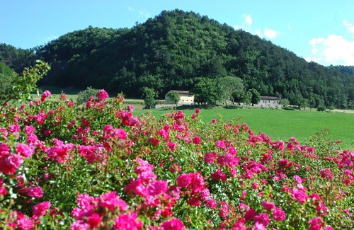 Marradi Apartment | Marradi 4 - Vacation Rental in Mugello, Tuscany