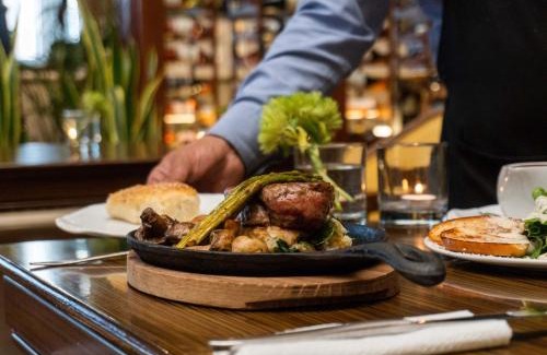 Torreon Hotel | Marriott Torreon Hotel