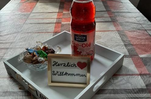 Plauen Apartment | MARTHA APARTMENTS - Ideal für Familien und Langzeitaufenthalte