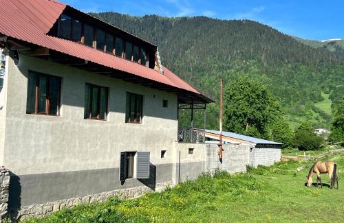 Bagvdanari House | Martha Guest House