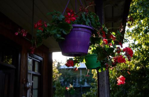 Salkhino House | Martvili Guest House OASIS
