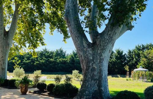 Cavaillon House | Mas des Branches d'Or