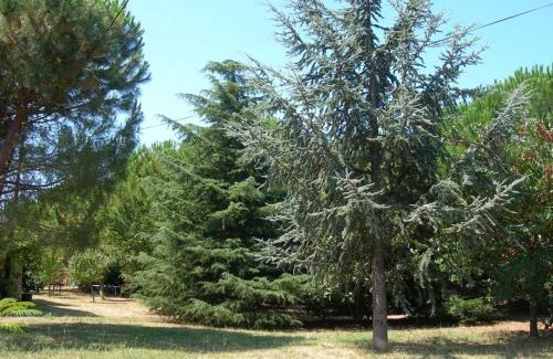 Saint-Julien-de-Peyrolas Apartment | Mas du Garidel l Appartements avec piscine privée proche Ardèche à Saint Julien de Peyrolas
