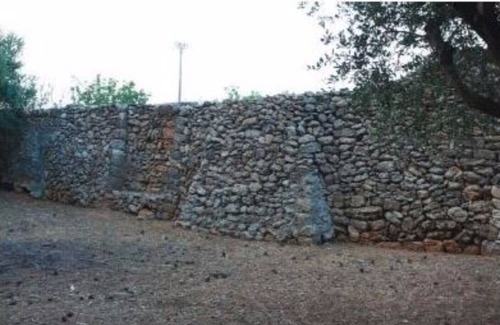 Torre San Gennaro Other | Masseria Piutri "Timo"
