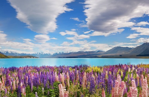 Lake Tekapo Apartment | Matariki Star - 1 Bedroom Suite C