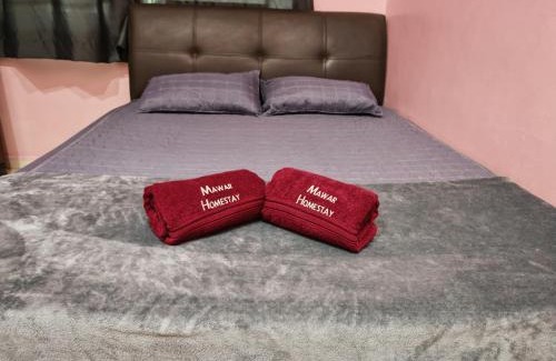 Mersing House | Mawar Homestay Netflix Cuckoo