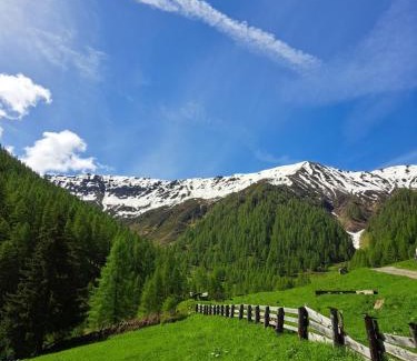 Innervillgraten House | Maxerhütte auf der Alfenalm