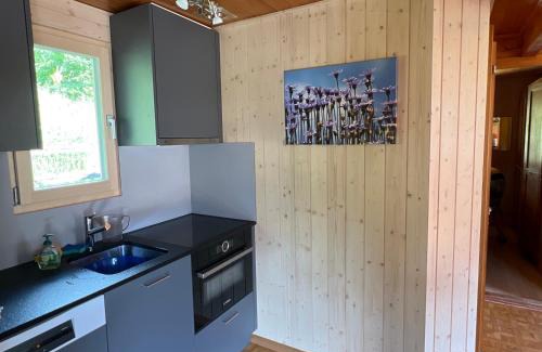 Fiesch House | Maxima