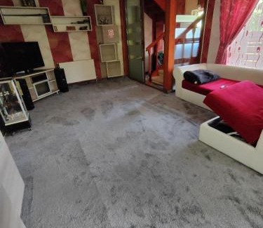Bacau County Villa | MAXX Lodge