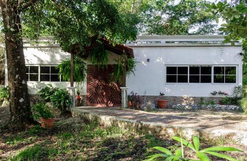 Flores Cabin | Mayagloo