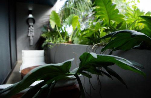 Downtown Apartment | Mayan Paradise Loft
