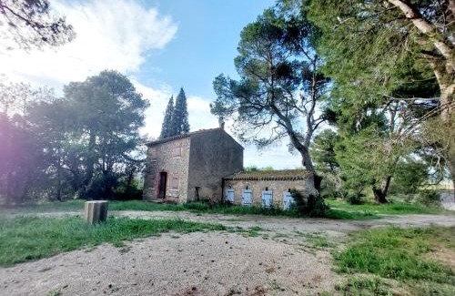 Peyriac-Minervois House | Mazet du Château Joyeux de Violet