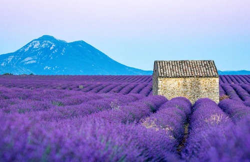 Piolenc Cottage | Mazet Magnan - Rustic Luxury in Provence