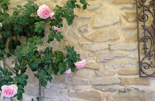 Piolenc Cottage | Mazet Magnan - Rustic Luxury in Provence