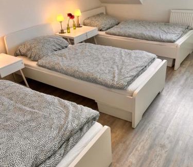 Lich Apartment | MC MONTI Gießen - Lich, 70qm, Zentral, NETFLIX