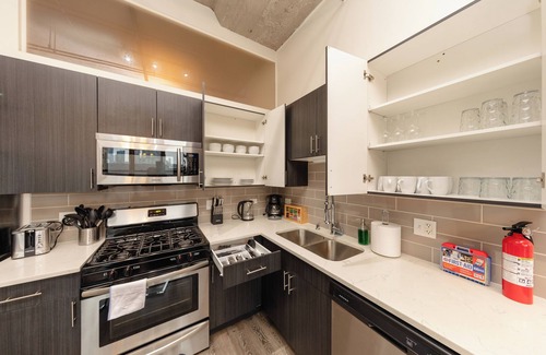 Near South Side Apartment | McCormick 2B/2Ba for up to 8 guests with Skyline view and optional parking
