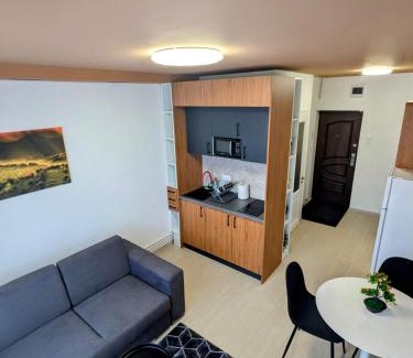 Tirgu Mures Apartment | MediLux Residence