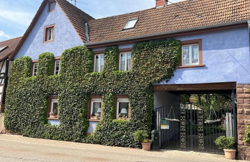Silz Apartment | Mehrbettzimmer - Schönbachhof