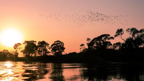 Stung Treng Resort | Mekong Bird Resort & Hotel