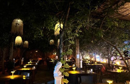 Olympos House | mercan pension