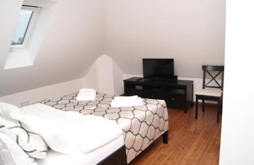 Biebrich Apartment | Merkel Villa Apartamente