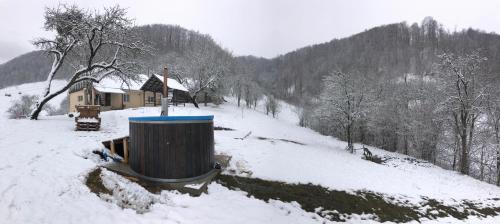 Bratca House | Mese-Háza