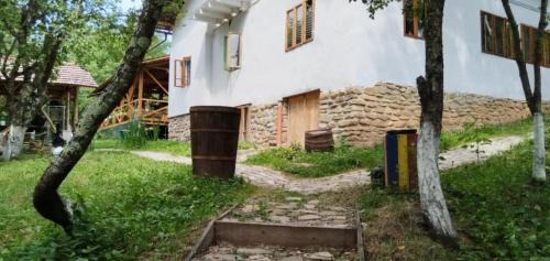 Jibert Other | Mesteceni Glamping