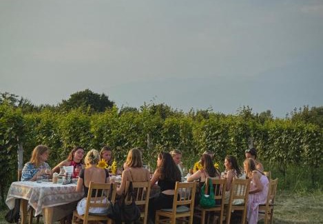 Telavi Villa | Mestvireni