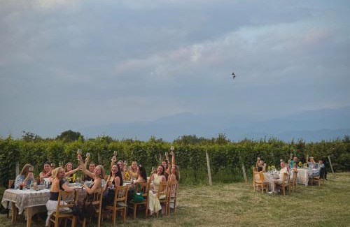 Telavi Villa | Mestvireni