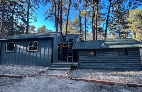 Colorado Springs Villa | Micah Blk Forest Lodge Cottage on 6 Wooded Acres