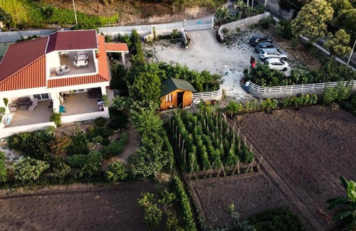 Parghelia Bed & Breakfast | Michelino House