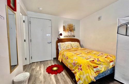 University District Apartment | Micro Studio Apartment 10 Minutes Walk to University of Washington