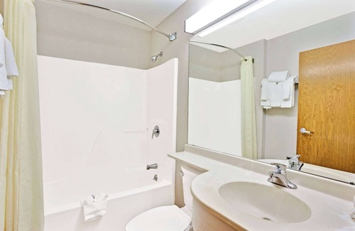 Roseville Hotel | Microtel Inn & Suites by Wyndham Roseville/Detroit Area
