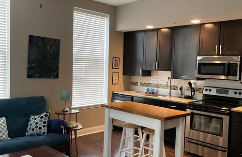 Downtown Knoxville Apartment | Mid Mod,Great Location, Heart of downtown Knoxville