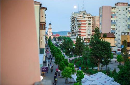 Alba Iulia Apartment | Middle of the boulevard