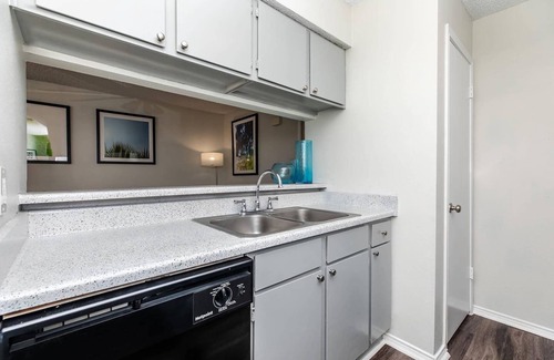 Medical Center District Apartment | Midnight & Gold Retreat/Medical Center & SeaWorld
