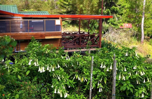 Kundasang Hotel | Mile 36 Lodge
