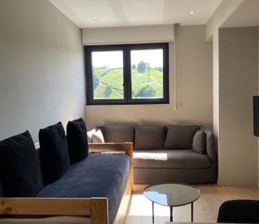 San Sebastian Apartment | Milimara Suites