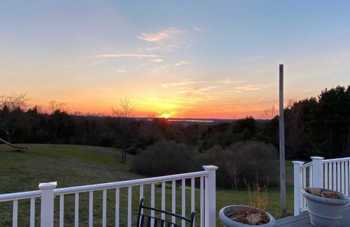 Williamsburg House | Million Dollar Views from The Birdhouse