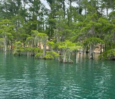 Marianna House | Millstone on the Millpond-6 miles of Springs