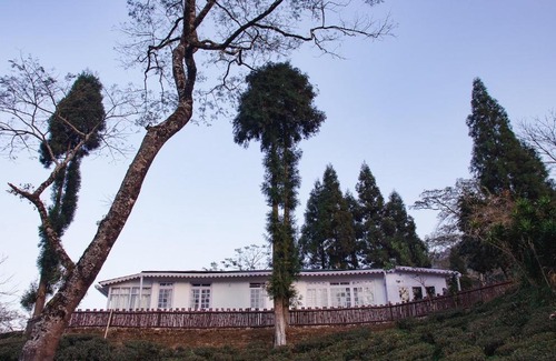 Darjeeling House | MiM HERITAGE HOMESTAY