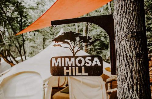 Cosby Other | Mimosa Hill Wanderlust Woods